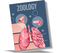 Class 11 NEET Zoology Coaching Classes in Jaipur